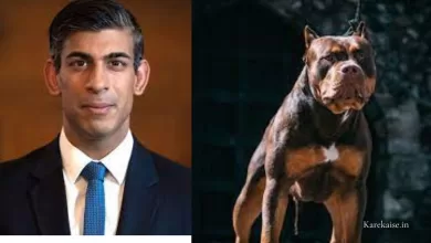 After a man died in the most recent dog attack, Rishi Sunak announces a ban on American XL bully dogs.