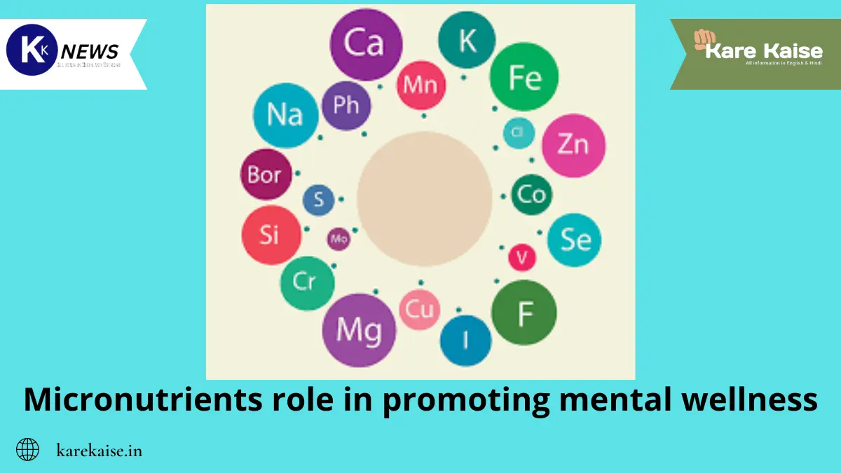 Micronutrients role in promoting mental wellness