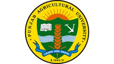 पंजाब कृषि विश्वविद्यालय ने जारी की रीसर्च की भर्ती यदि आप भी नौकरी पाना चाहते हैं तो आवेदन करे