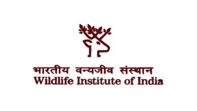 भारतीय वन्यजीव संस्थान(WII) ने निकाली डाटा एंट्री ऑपरेटर की भर्ती जाने कैसे करे आवेदन 